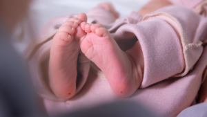 Newborn infant's foots and heel prick, PKU phenylketonuria test. Blood draw puncture. Guthrie' test for congenital genetic diseases. Close up.